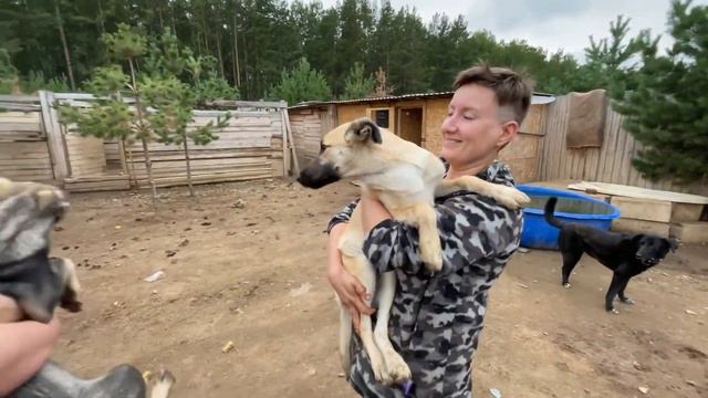 День рождения в кругу друзей и собачек ❤️🐕 смотреть онлайн