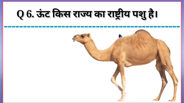 Gk Question | Gk in Hindi | Gk question and answer | Gk quiz | 15 смотреть онлайн
