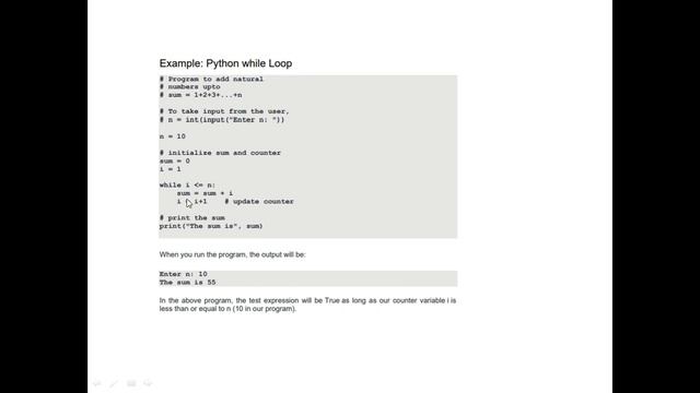Python Unit 5 Part 3 of 3 Decision making statements- for, while and its examples | CBSE Class 9 смотреть онлайн