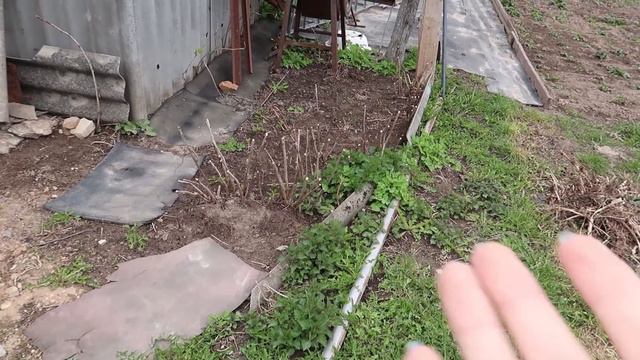 ЕЩЕ ОДНА МАСТЕРСКАЯ НА ПОДХОДЕ 💥 ДЕЛЮСЬ ПЛАНАМИ НА ОБУСТРОЙСТВО САДА🌞 смотреть онлайн