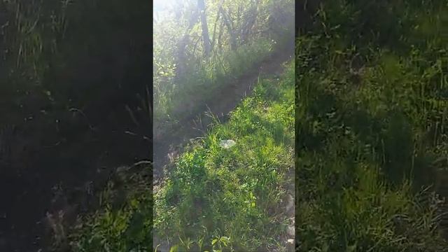 Как добыть на даче электричество смотреть онлайн