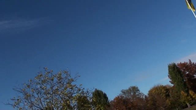 ГОЛУБИ УЛЕТЕЛИ С ГЛАЗ В НЕБО!!!! 18.10. 2022 г. смотреть онлайн