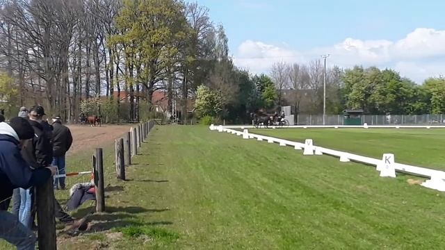 Dressur Wettringen 2019 смотреть онлайн