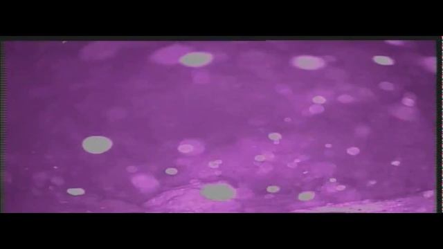 Подводное видео поклевки налима!19.03.22г. смотреть онлайн