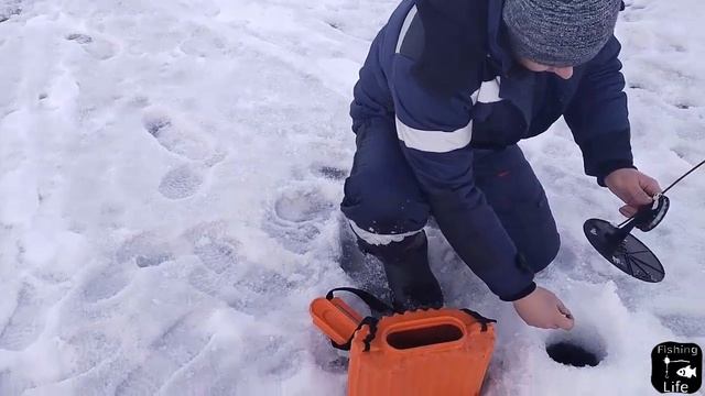 Наловили пескаря для живца | ПОСТАВИЛИ ЖЕРЛИЦЫ | Рыбалка 2023 смотреть онлайн