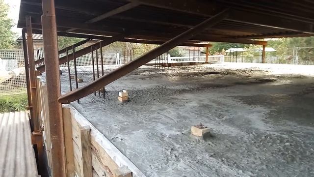 Монолитное ребристое перекрытие смотреть онлайн