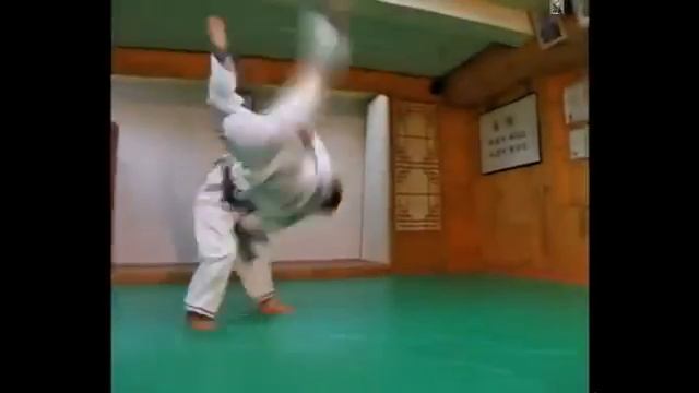 Hapkido Ground And Weapon Defense Lee Cheng Soo Партер и оружие в хапкидо