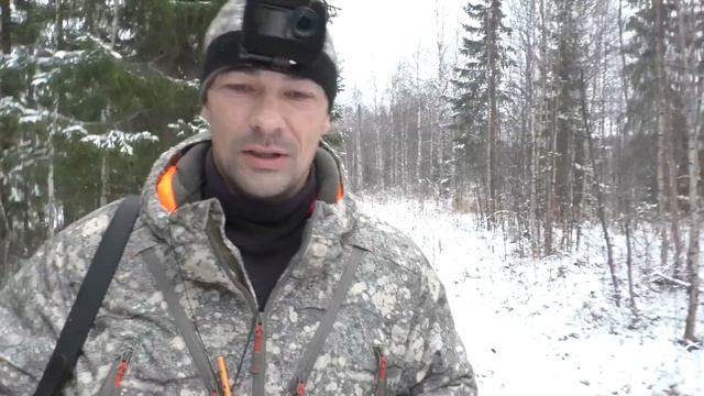 ВОТ ПОЧЕМУ ЗАЙЦА НЕТ! НАШЁЛ ЛИСЬИ НОРЫ В ГУСТОМ СОСНЯКЕ / ОХОТА НА РЯБЧИКА С РУЖЬЁМ / ОСЕННЯЯ ОХОТА