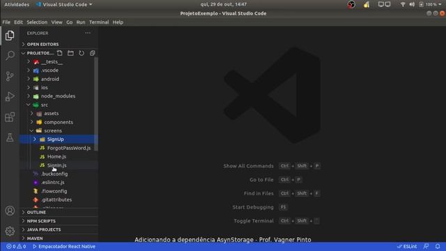 Adicionando a dependência AsynStorage смотреть онлайн