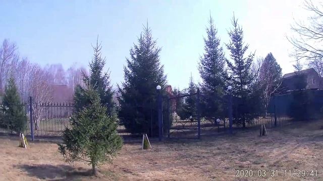 Кирсанов 2020 03 31 Ворона смотреть онлайн