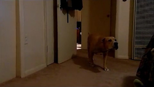 Бесшумная охота смотреть онлайн