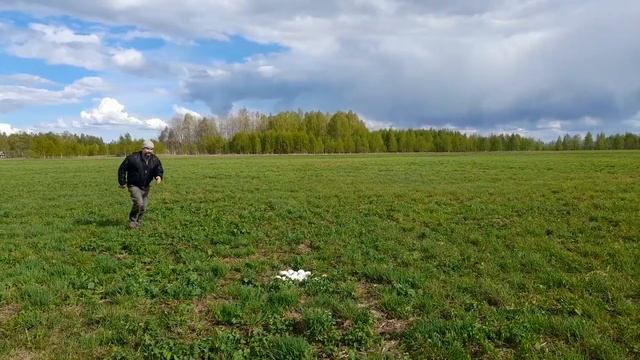 Разведение гусей без затрат. смотреть онлайн