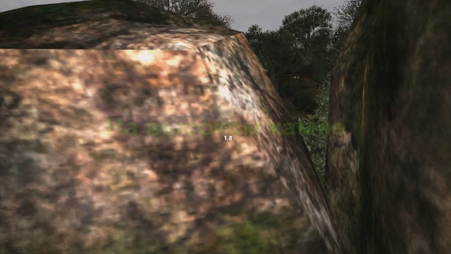 Сталкер ОП-2 Тайники Коллекционера Забытый лес смотреть онлайн