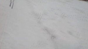 Отделка стен вагонкой, нестандартный вариант(+ проводка) - Строим каркасный домик #8