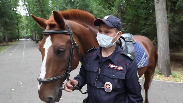 Сотрудники конной полиции рассказали о своей непростой работе смотреть онлайн