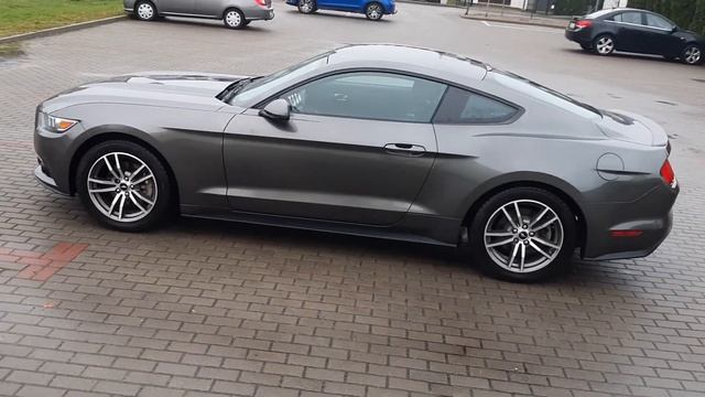 Ford Mustang 2016 2,3 ecoboost kierunkowskazy dynamiczne смотреть онлайн