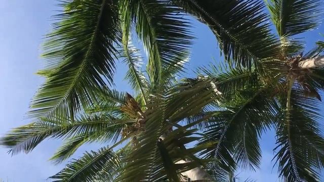 Начала худеть - старт взят / Январь на островах Флориды / Стейк на гриле / Релакс