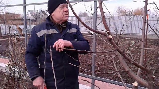 Зимняя обрезка яблони, дополненная формирующей.
Подписывайтесь,
дальше будет много
нового. смотреть онлайн