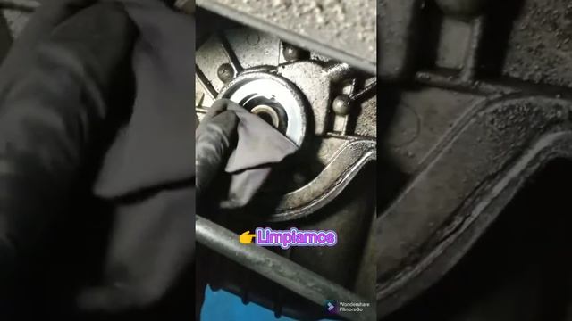 Reemplazar retén de cigüeñal (lado distribución) Ford Ecosport смотреть онлайн
