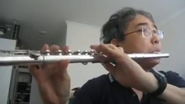 Handel Flute Sonata No 2, Op 1 in G minor - Andante - HWV 360 смотреть онлайн