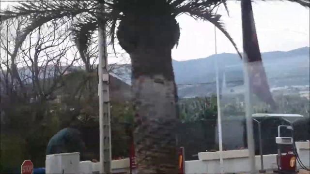 ТЕНЕРИФЕ - дорога в Лоро Парк, окрестности, главный вход, пруд с рыбками. Tenerife - Loro Park смотреть онлайн