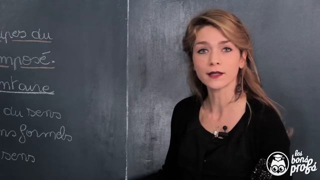 Commentaire littéraire - Grands principes - Français 1ère - Les Bons Profs смотреть онлайн