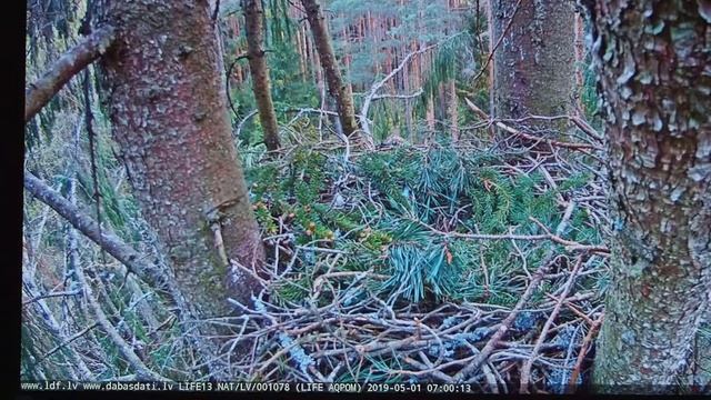 P5010411 Съёмка с экрана дисплея компа, расстояние ~ 1,8 м от объектив Helios 44-M6, диафрагма 