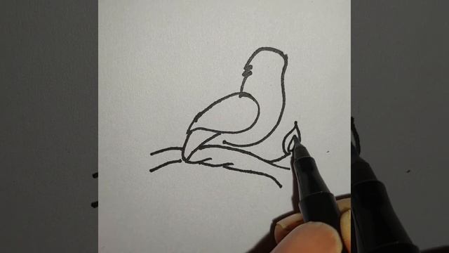 how to make easy draw#parrots #bird #viral #trending #art смотреть онлайн