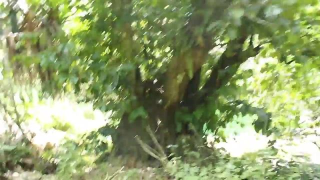 Гастрономическая Энергия