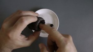 Как вырастить лонган дома из семян