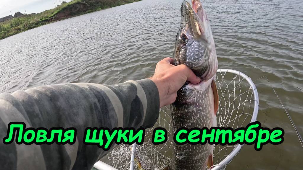 Ловля щуки в сентябре на воблеры смотреть онлайн