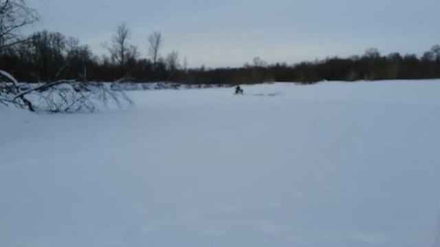 МУХТАР 15 И БРЕВНО смотреть онлайн