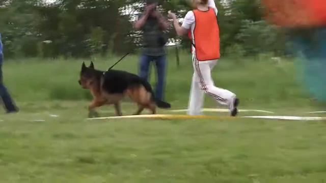 Рабочий класс. Кобели 3 (Кубок Тихого океана, 14.06.14, Владивосток) смотреть онлайн