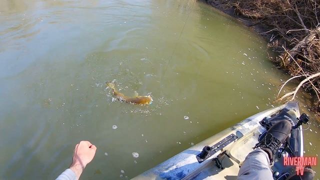 Kayak Fishing the Prettiest River in Illinois смотреть онлайн
