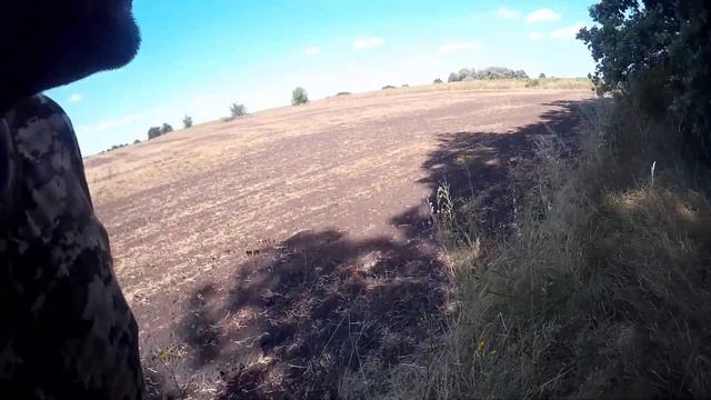 Разведка показала что вяхирь есть Ждем открытие сезона смотреть онлайн