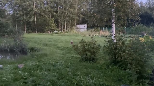 Банька-парилка / Пропарка Иры / Ловим рыбу в пруду / У Геры на даче смотреть онлайн