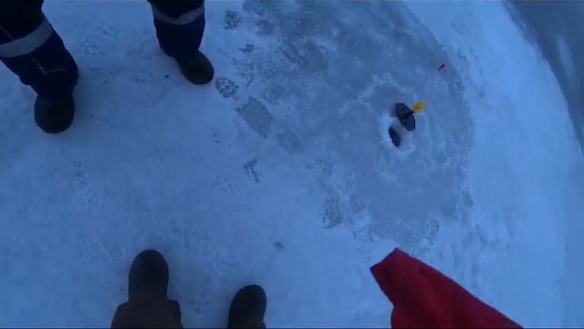 Зимняя рыбалка:ЩУКА на ЖЕРЛИЦЫ! Брат отловился. жерлицы#2024#щука смотреть онлайн