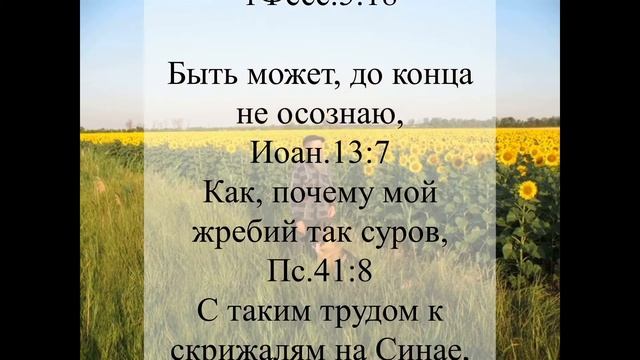 За видимым суметь увидеть Бога | Проповедь в стихах Игнатия Лапкина смотреть онлайн