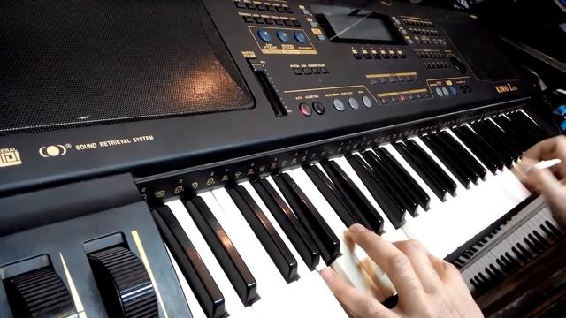 KAWAI Z1000 смотреть онлайн