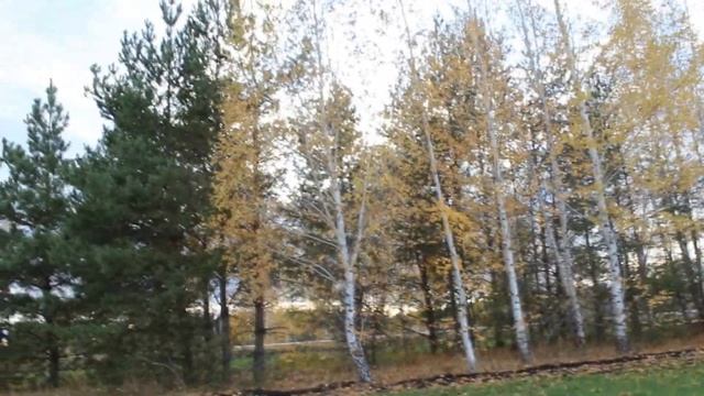 ЛОШАДИ ОСЕНЬЮ:КОННЫЙ ВЛОГ-ТОЛСТАЯ ЛОШАДЬ И ОЛИВЕР/ЛОШАДИ БРЕЕР(БРЕЙЕР)НА ПРИРОДЕ/BREYER VLOG/PHOTO смотреть онлайн