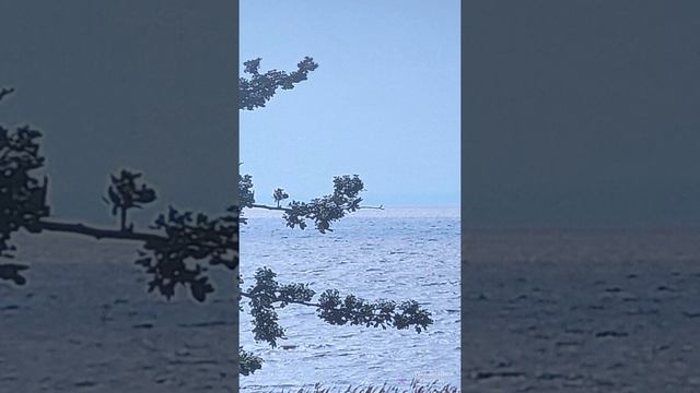 "Иисус сказал ему в ответ:...если не умою тебя, не имеешь части со Мною." (Ин 13:7-8) смотреть онлайн