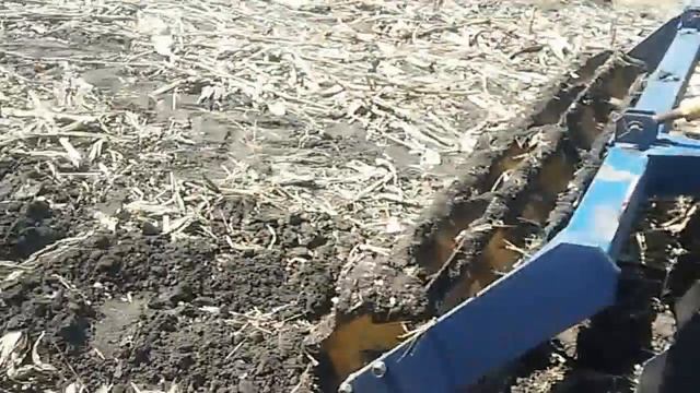 Дискуем поле после кукурузы .Готовим почву под посев кукурузы. смотреть онлайн