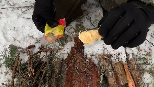 СТРОЮ УБЕЖИЩЕ В ЛЕСУ выживание в диком лесу #выживание #лес #бушкрафт #природа #дикаяприрода #зима