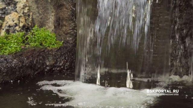 Океанариум в Екатеринбурге. Акулы, скаты, пираньи смотреть онлайн