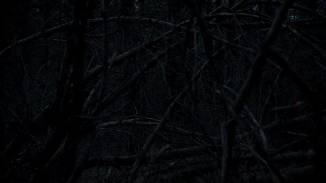 The Witch смотреть онлайн