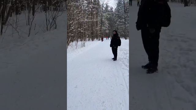 Прогулка собака парк шипперке Dog walk schipperke Park смотреть онлайн