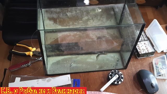 Как легко и правильно насадить живца на жерлицу. Лучший  способ насадки живца на жерлицу. смотреть онлайн