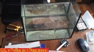 Как легко и правильно насадить живца на жерлицу. Лучший  способ насадки живца на жерлицу.