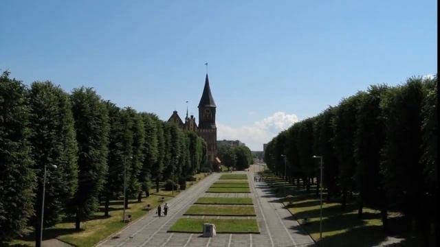 Цветущие каштаны