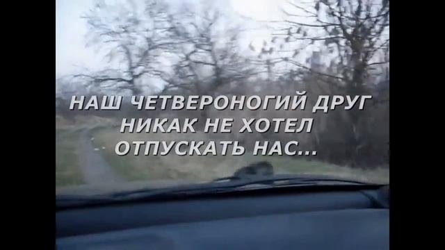 СПАСАЕМ СОБАКУ ИЗ ЛЕДЯННОЙ РЕКИ !!! SAVING A DOG FROM THE ICY WATER !!! смотреть онлайн